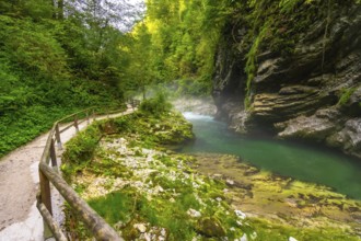 Lush vegetation surrounds a wooden walkway along the stunning emerald radovna river, flowing