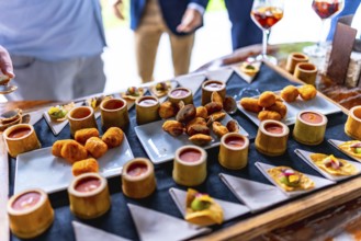 Gourmet appetizers beautifully arranged on a tray at a wedding reception, featuring various finger