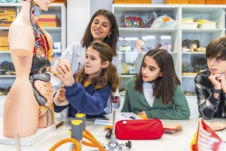 Elementary school students learning human anatomy with anatomical model in a science class