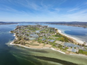 Aerial view of the island of Reichenau at low tide and spring-like vegetation, Lake Constance,