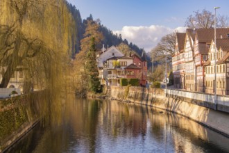 Idyllic town view with river and historic half-timbered houses in autumn, Calw in spring, Black