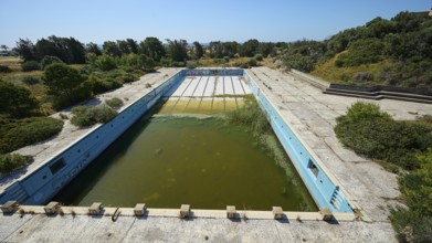 Abandoned swimming pool with algae-infested water, graffiti and concrete walls, surrounded by