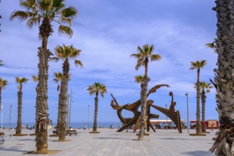 Placa del Mar, Homenatge a la Natació, Barceloneta Beach, Beach, Platja de la Barceloneta,