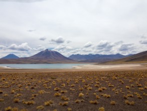 Highland lagoons Atacama Desert, Chile, South America