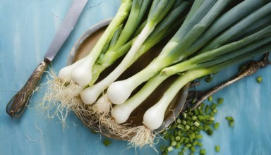 Vegetable, spring onion or spring onion, also known as winter onion, Allium fistulosum