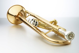 Trumpet in front of a white background, studio shot