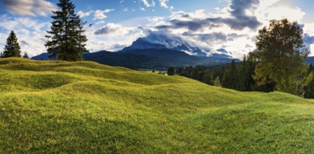 Humpback meadows between Mittenwald and Krün, Werdenfelser Land, behind it the Wettersteinspitze,