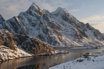 Mærvoll village with Himmeltindan mountain, 964m, Lofoten island Vestvågøya, Lofoten, Northern