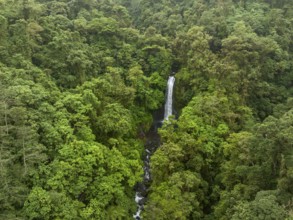 Aerial view, waterfall in the rainforest, Catarata de la Paz, La Paz Waterfall Gardens Nature Park,