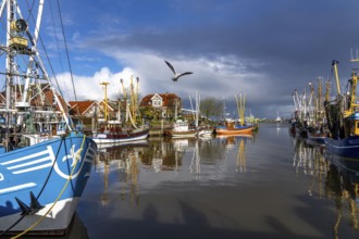 Cutter harbour Neuharlingersiel, shrimp cutter, East Frisia, Lower Saxony, Germany, Europe