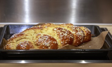 Golden-brown, crispy yeast plait with sugar and almond slivers on a baking tray