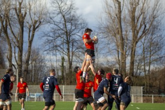 Rugby: Germany against MKS Pogon Awenta Siedlce, Poland in Heidelberg (test match of the German