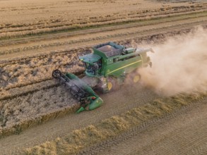 A combine harvester harvests a grain field near Frankfurt am Main. (Aerial photo with a drone),
