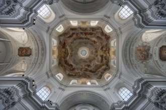 Vaulted dome with frescoes, Neumünster, collegiate church, Würzburg, Lower Franconia, Bavaria,