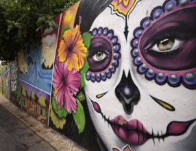 Graffiti, Mural, Jungle Fever, Woman, Face, Old Town, Lagos, Algarve, Portugal, Europe