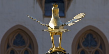 Gilded imperial eagle as a fountain eagle on the market fountain in front of the town hall, Old