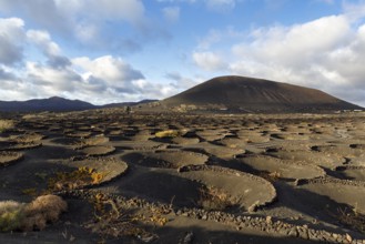 Wine-growing on volcanic soil, typical landscape with volcanic mountains on the horizon, La Geria