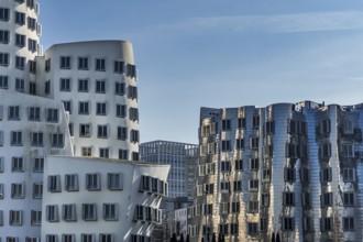 Building, Frank O. Gehry, Media Harbour, Harbour, Düsseldorf, North Rhine-Westphalia, Germany,