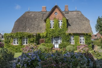 Frisian house, Midlum, Föhr, North Sea island, North Frisia, Schleswig-Holstein, Germany, Europe