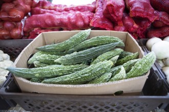 Bitter gherkins, souk or soug or market in the old town of Nizwa, ad-Dachiliyya region, Oman, Asia