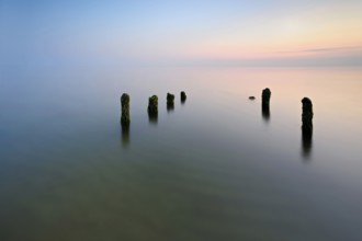Old posts with algae in the water on the Baltic Sea beach, long exposure at sunset,