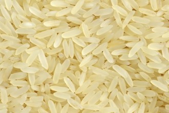 Rice (Oryza sativa), rice grains