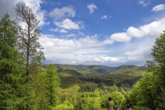 View of the southern Palatinate Forest from the summit of the Eiderberg
