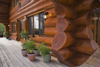 Brown reddish stained Scandinavian log cabin home facade with large chinked logs and grey wood