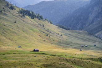Alpine pasture landscape, Alpine meadows and huts, Carnic main ridge, Carnic High Trail, Carnic