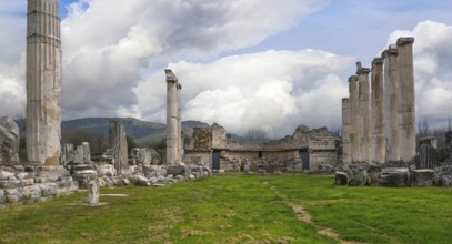 Excavation site site of the ancient city of Aphrodisias, Temple of Aphrodite, today's city of