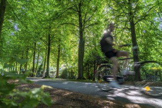 Promenade cycle path, tree-lined, car-free, approximately 4.5 km long ring road around the city