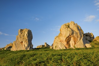 Large boulders in the evening light surrounded by ferns on the Pink Granite Coast in Brittany, Pors