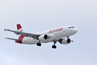 Aircraft Austrian Airlines, Airbus A320-200, OE-LBL