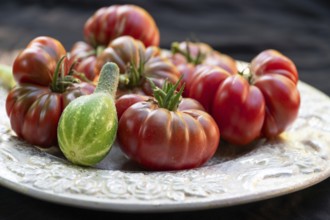 Tomatoes, ox hearts and a Vorgebirgstrauben pickled cucumber on a decorative plate on a black