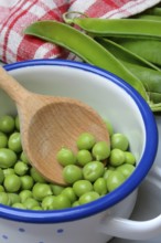 Fresh green peas in pot with wooden spoon, Pisum sativum