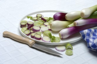 White and purple spring onions and onion slices in their skins, spring onion