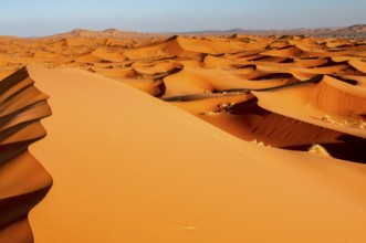 Sand dunes, Erg Chebbi, Sahara, Southern Morocco, Morocco, Africa
