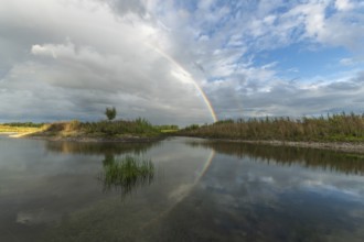Large double rainbow after a spring storm. Bas-Rhin, Alsace, Grand Est, France, Europe