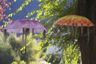 Colourful umbrellas hanging in the air, shade, summer, decoration, winter promenade, promenade,