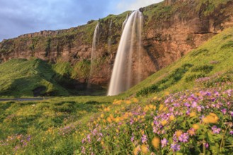 Waterfall on a steep slope, flower meadow, summer, evening light, midnight sun, long exposure,