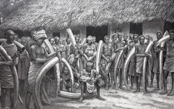 Ivory caravan arriving in Bagamoyo in Tanzania, 1895, elephant tusks, poachers, reproduction of an