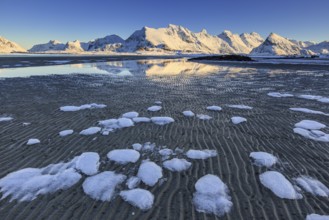 Ice floes on the beach in front of snowy mountains, evening light, winter, Moskenesoya, Lofoten,