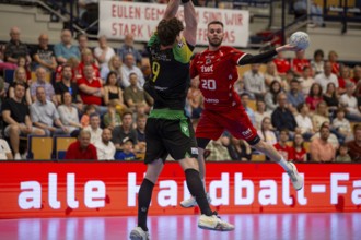 2nd HBL (Handball Bundesliga), Matchday 30: Eulen Ludwigshafen against VfL Eintracht