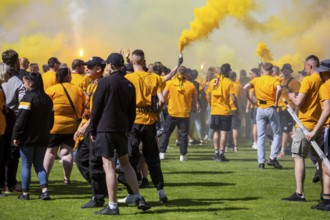 Football 3rd division, 2024/25 season, matchday 37: Waldhof Mannheim vs Dynamo Dresden***Pure