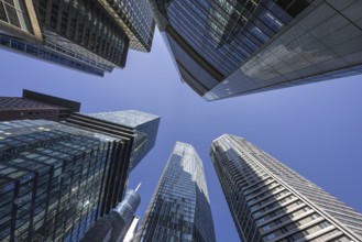 The towers of Frankfurt's banking skyline rise into the sky, Frankfurt am Main, Hesse, Germany,