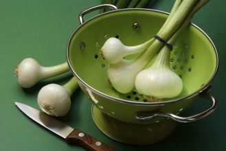 Onion, spring onions in sieve pot