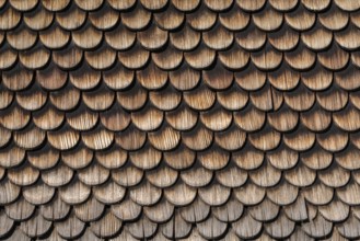 Schwarzenberg, Bregenz district, old wooden shingle, house wall, detail, Bregenzerwald, Voralberg,