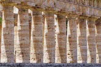 Paestum archaeological site and ruins, UNESCO World Heritage Site, in the province of Salerno.