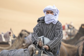 Berber with turban by his camels, desert, Erg Chebbi, Sahara, Merzouga, Morocco, Africa