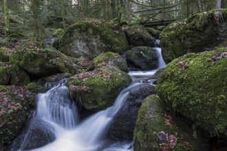 Gertelbach, Gertelbach Waterfalls, Gertelbach Falls, Gertelbach Gorge, Bühl, Bühlertal, Northern